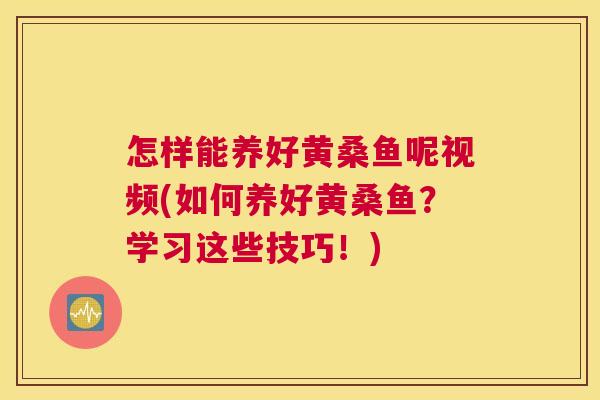 怎样能养好黄桑鱼呢视频(如何养好黄桑鱼?学习这些技巧!) 怎样能养好黄桑鱼呢视频(如何养好黄桑鱼?学习这些技巧!)
