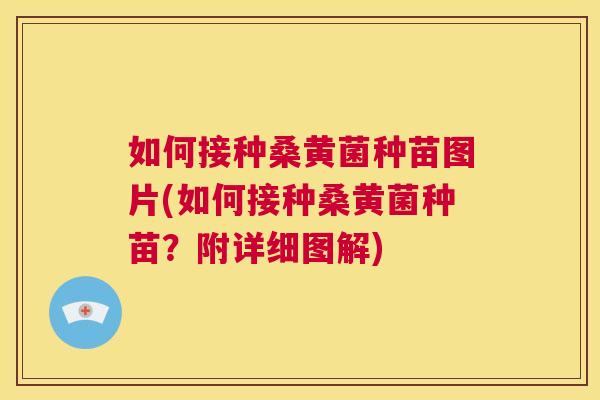 如何接种桑黄菌种苗图片(如何接种桑黄菌种苗?附详细图解) 如何接种桑黄菌种苗图片(如何接种桑黄菌种苗?附详细图解)