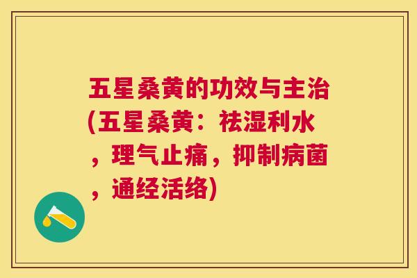 五星桑黄的功效与主(五星桑黄:祛湿利水,理气,抑制菌,通经活络) 五星桑黄的功效与主(五星桑黄:祛湿利水,理气,抑制菌,通经活络)