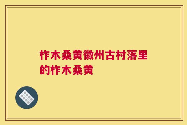 柞木桑黄徽州古村落里的柞木桑黄 柞木桑黄徽州古村落里的柞木桑黄