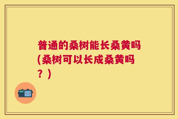 普通的桑树能长桑黄吗(桑树可以长成桑黄吗?) 普通的桑树能长桑黄吗(桑树可以长成桑黄吗?)