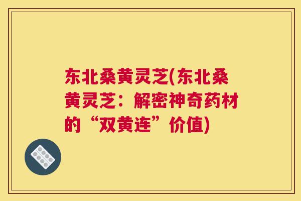 东北桑黄灵芝(东北桑黄灵芝:解密神奇药材的“双黄连”价值) 东北桑黄灵芝(东北桑黄灵芝:解密神奇药材的“双黄连”价值)