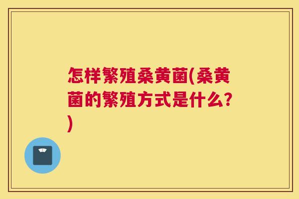 怎样繁殖桑黄菌(桑黄菌的繁殖方式是什么?) 怎样繁殖桑黄菌(桑黄菌的繁殖方式是什么?)