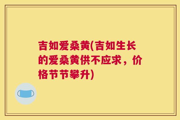 吉如爱桑黄(吉如生长的爱桑黄供不应求,价格节节攀升) 吉如爱桑黄(吉如生长的爱桑黄供不应求,价格节节攀升)