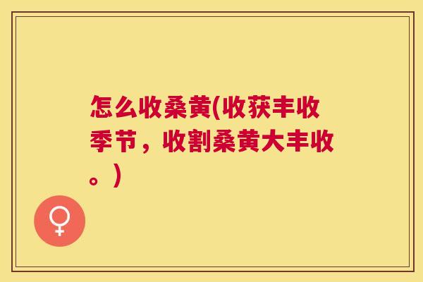 怎么收桑黄(收获丰收季节,收割桑黄大丰收。) 怎么收桑黄(收获丰收季节,收割桑黄大丰收。)