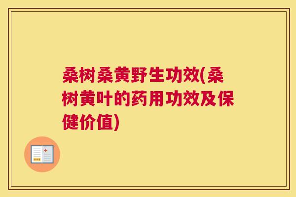 桑树桑黄野生功效(桑树黄叶的药用功效及保健价值) 桑树桑黄野生功效(桑树黄叶的药用功效及保健价值)