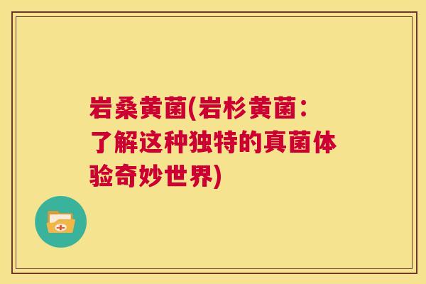 岩桑黄菌(岩杉黄菌:了解这种独特的真菌体验奇妙世界) 岩桑黄菌(岩杉黄菌:了解这种独特的真菌体验奇妙世界)