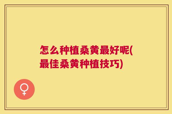 怎么种植桑黄好呢(佳桑黄种植技巧) 怎么种植桑黄好呢(佳桑黄种植技巧)
