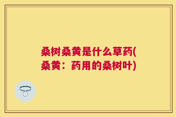 桑树桑黄是什么草药(桑黄:药用的桑树叶) 桑树桑黄是什么草药(桑黄:药用的桑树叶)