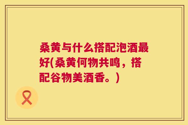 桑黄与什么搭配泡酒好(桑黄何物共鸣,搭配谷物美酒香。) 桑黄与什么搭配泡酒好(桑黄何物共鸣,搭配谷物美酒香。)