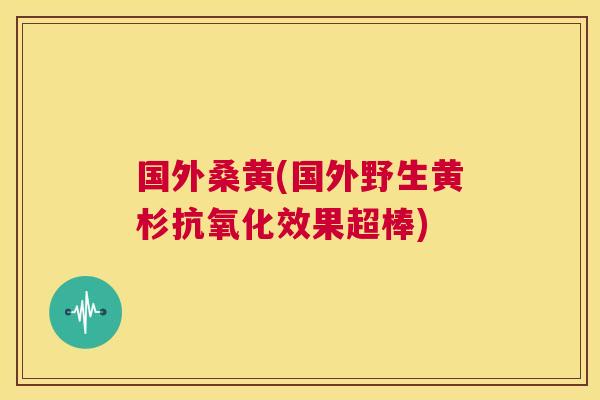 国外桑黄(国外野生黄杉效果超棒) 国外桑黄(国外野生黄杉效果超棒)