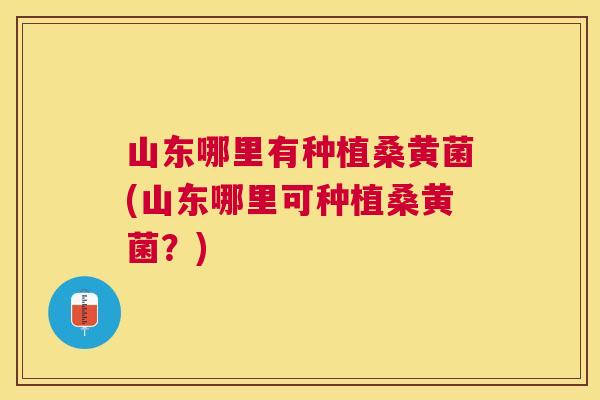 山东哪里有种植桑黄菌(山东哪里可种植桑黄菌?) 山东哪里有种植桑黄菌(山东哪里可种植桑黄菌?)
