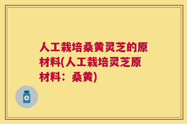 人工栽培桑黄灵芝的原材料(人工栽培灵芝原材料:桑黄) 人工栽培桑黄灵芝的原材料(人工栽培灵芝原材料:桑黄)