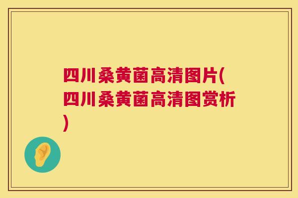 四川桑黄菌高清图片(四川桑黄菌高清图赏析) 四川桑黄菌高清图片(四川桑黄菌高清图赏析)