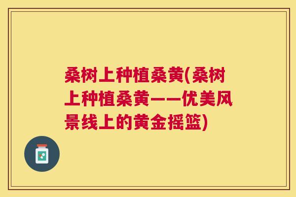 桑树上种植桑黄(桑树上种植桑黄——优美风景线上的黄金摇篮) 桑树上种植桑黄(桑树上种植桑黄——优美风景线上的黄金摇篮)