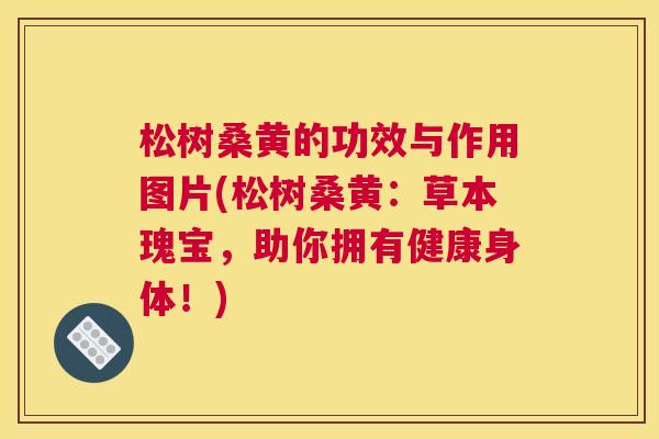 松树桑黄的功效与作用图片(松树桑黄:草本瑰宝,助你拥有健康身体!) 松树桑黄的功效与作用图片(松树桑黄:草本瑰宝,助你拥有健康身体!)