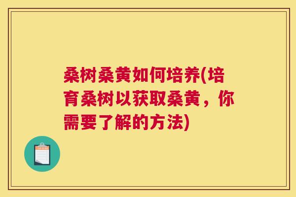 桑树桑黄如何培养(培育桑树以获取桑黄,你需要了解的方法) 桑树桑黄如何培养(培育桑树以获取桑黄,你需要了解的方法)