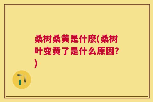 桑树桑黄是什麽(桑树叶变黄了是什么原因?) 桑树桑黄是什麽(桑树叶变黄了是什么原因?)