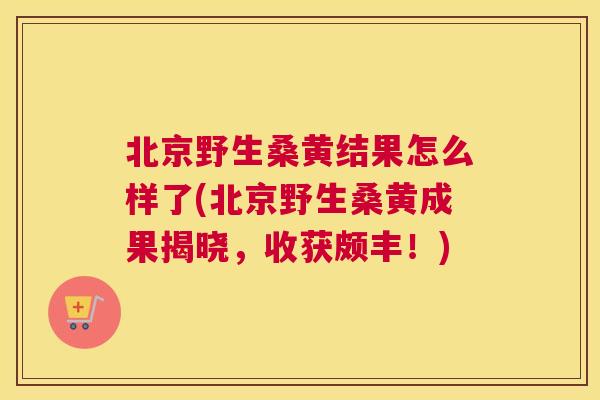 北京野生桑黄结果怎么样了(北京野生桑黄成果揭晓,收获颇丰!) 北京野生桑黄结果怎么样了(北京野生桑黄成果揭晓,收获颇丰!)