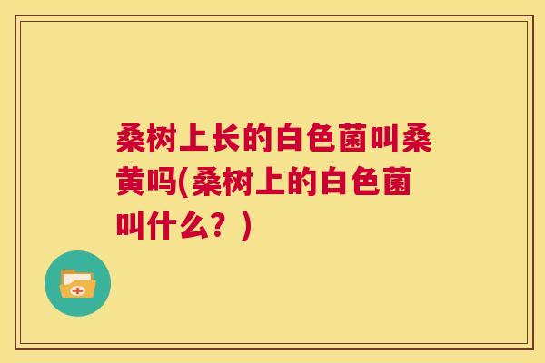 桑树上长的白色菌叫桑黄吗(桑树上的白色菌叫什么?) 桑树上长的白色菌叫桑黄吗(桑树上的白色菌叫什么?)