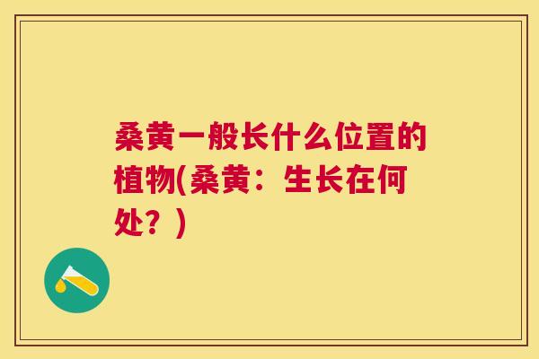 桑黄一般长什么位置的植物(桑黄:生长在何处?) 桑黄一般长什么位置的植物(桑黄:生长在何处?)