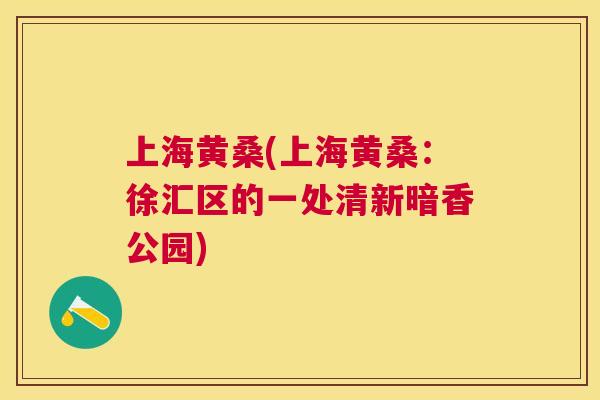 上海黄桑(上海黄桑:徐汇区的一处清新暗香公园) 上海黄桑(上海黄桑:徐汇区的一处清新暗香公园)