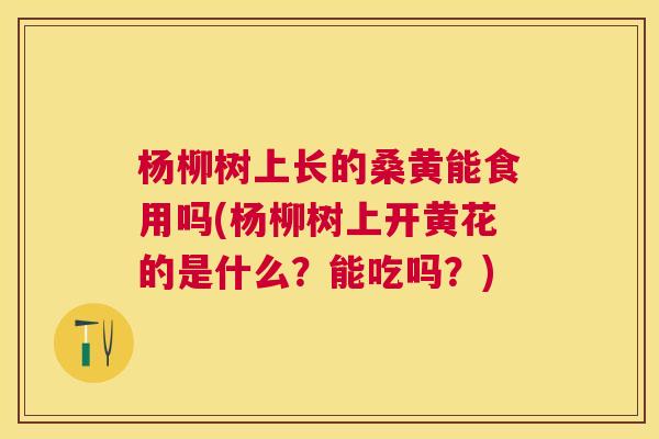 杨柳树上长的桑黄能食用吗(杨柳树上开黄花的是什么?能吃吗?) 杨柳树上长的桑黄能食用吗(杨柳树上开黄花的是什么?能吃吗?)