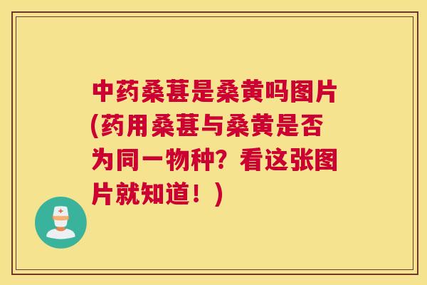 桑葚是桑黄吗图片(药用桑葚与桑黄是否为同一物种?看这张图片就知道!) 桑葚是桑黄吗图片(药用桑葚与桑黄是否为同一物种?看这张图片就知道!)