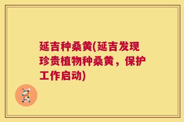 延吉种桑黄(延吉发现珍贵植物种桑黄,保护工作启动) 延吉种桑黄(延吉发现珍贵植物种桑黄,保护工作启动)