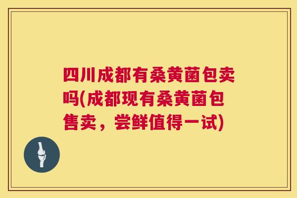 四川成都有桑黄菌包卖吗(成都现有桑黄菌包售卖,尝鲜值得一试) 四川成都有桑黄菌包卖吗(成都现有桑黄菌包售卖,尝鲜值得一试)