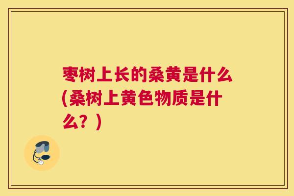 枣树上长的桑黄是什么(桑树上黄色物质是什么?) 枣树上长的桑黄是什么(桑树上黄色物质是什么?)