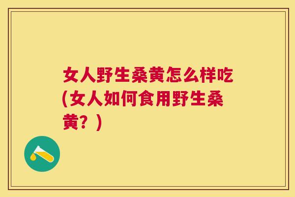 女人野生桑黄怎么样吃(女人如何食用野生桑黄?) 女人野生桑黄怎么样吃(女人如何食用野生桑黄?)