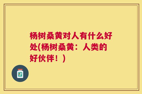 杨树桑黄对人有什么好处(杨树桑黄:人类的好伙伴!) 杨树桑黄对人有什么好处(杨树桑黄:人类的好伙伴!)