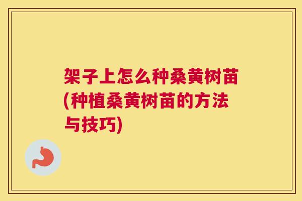 架子上怎么种桑黄树苗(种植桑黄树苗的方法与技巧) 架子上怎么种桑黄树苗(种植桑黄树苗的方法与技巧)