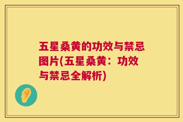 五星桑黄的功效与禁忌图片(五星桑黄:功效与禁忌全解析) 五星桑黄的功效与禁忌图片(五星桑黄:功效与禁忌全解析)