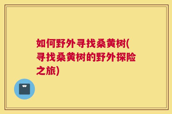 如何野外寻找桑黄树(寻找桑黄树的野外探险之旅) 如何野外寻找桑黄树(寻找桑黄树的野外探险之旅)