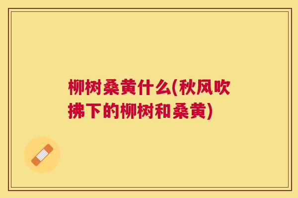 柳树桑黄什么(秋风吹拂下的柳树和桑黄) 柳树桑黄什么(秋风吹拂下的柳树和桑黄)