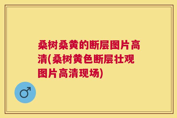 桑树桑黄的断层图片高清(桑树黄色断层壮观图片高清现场) 桑树桑黄的断层图片高清(桑树黄色断层壮观图片高清现场)