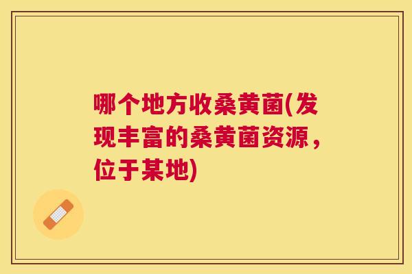 哪个地方收桑黄菌(发现丰富的桑黄菌资源,位于某地) 哪个地方收桑黄菌(发现丰富的桑黄菌资源,位于某地)