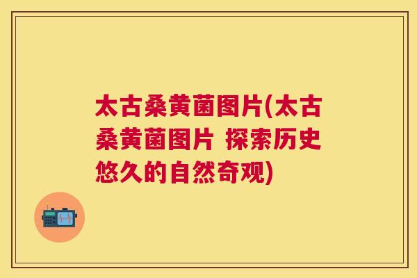 太古桑黄菌图片(太古桑黄菌图片 探索历史悠久的自然奇观) 太古桑黄菌图片(太古桑黄菌图片 探索历史悠久的自然奇观)