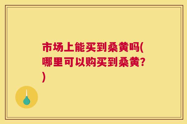 市场上能买到桑黄吗(哪里可以购买到桑黄?) 市场上能买到桑黄吗(哪里可以购买到桑黄?)