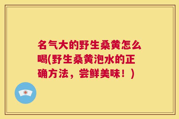 名气大的野生桑黄怎么喝(野生桑黄泡水的正确方法,尝鲜美味!) 名气大的野生桑黄怎么喝(野生桑黄泡水的正确方法,尝鲜美味!)
