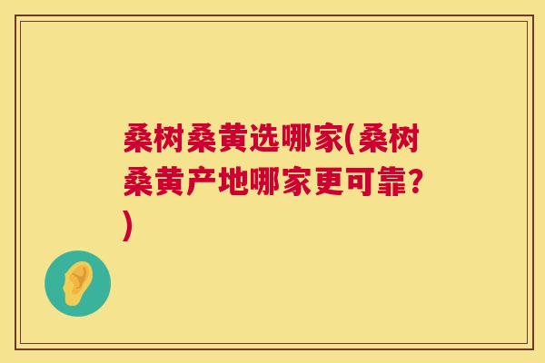 桑树桑黄选哪家(桑树桑黄产地哪家更可靠?) 桑树桑黄选哪家(桑树桑黄产地哪家更可靠?)