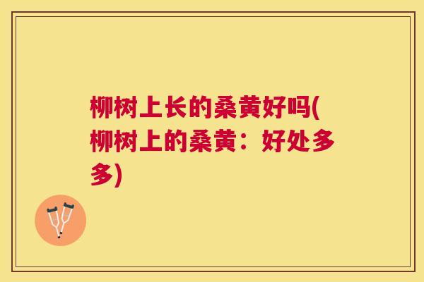 柳树上长的桑黄好吗(柳树上的桑黄:好处多多) 柳树上长的桑黄好吗(柳树上的桑黄:好处多多)