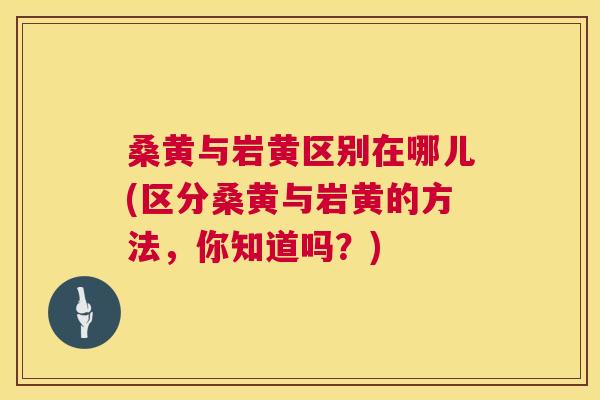 桑黄与岩黄区别在哪儿(区分桑黄与岩黄的方法,你知道吗?) 桑黄与岩黄区别在哪儿(区分桑黄与岩黄的方法,你知道吗?)