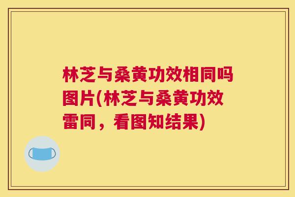 林芝与桑黄功效相同吗图片(林芝与桑黄功效雷同,看图知结果) 林芝与桑黄功效相同吗图片(林芝与桑黄功效雷同,看图知结果)