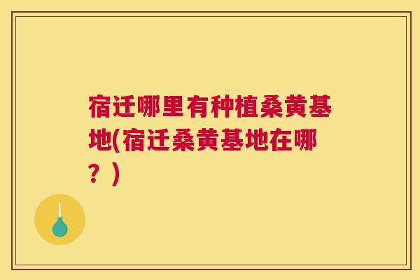 宿迁哪里有种植桑黄基地(宿迁桑黄基地在哪？)