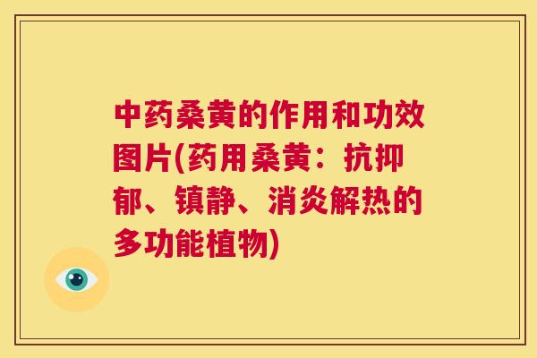 桑黄的作用和功效图片(药用桑黄:抗、、解热的多功能植物) 桑黄的作用和功效图片(药用桑黄:抗、、解热的多功能植物)
