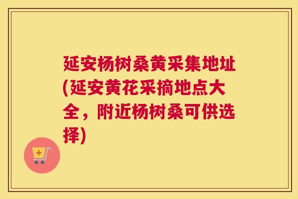 延安杨树桑黄采集地址(延安黄花采摘地点大全,附近杨树桑可供选择) 延安杨树桑黄采集地址(延安黄花采摘地点大全,附近杨树桑可供选择)