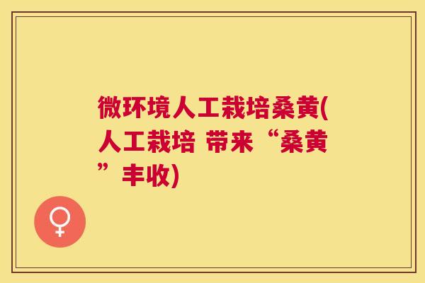 微环境人工栽培桑黄(人工栽培 带来“桑黄”丰收) 微环境人工栽培桑黄(人工栽培 带来“桑黄”丰收)
